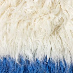tapis hk salon blanc et bleu