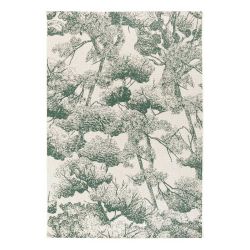 Tapis Deva indoor vert thym 160x230cm